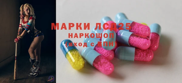 гашик Алексин