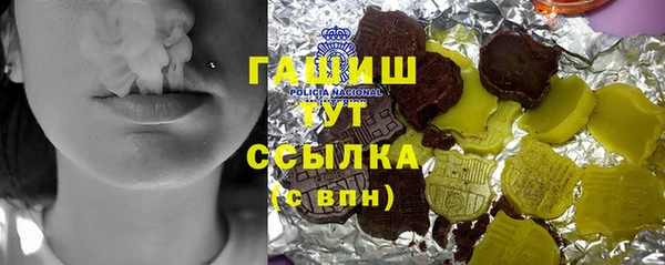 гашик Алексин