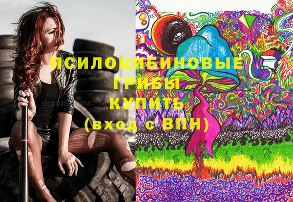 мдпв Абаза